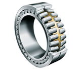 Double Row Cylindrical Roller Bearing